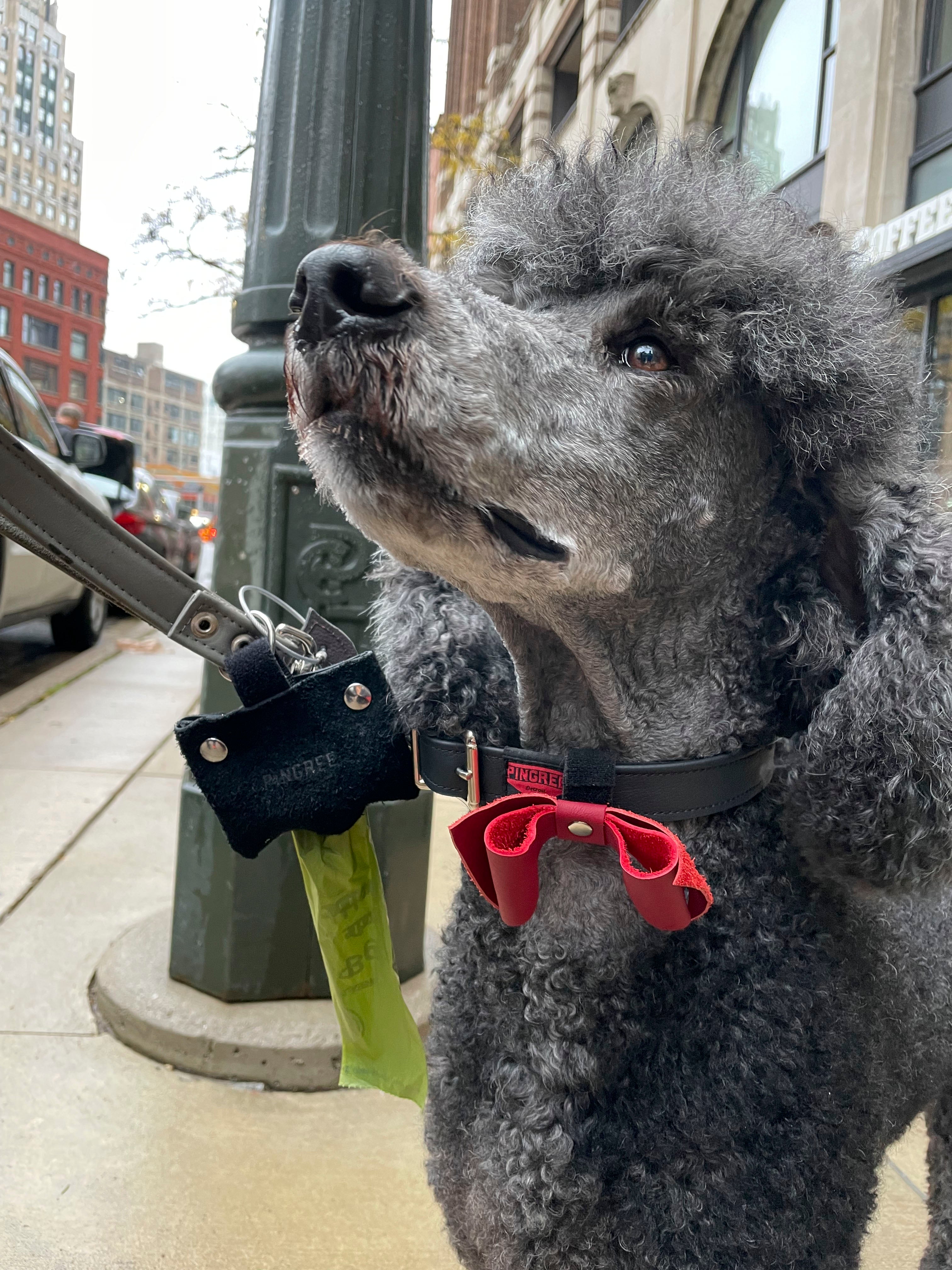 leather bow tie for dogs made in detroit, mi USA with sustainable upcycled leather and handmade by veterans. Here is a poodle wearing a red bow tie on a black collar. 