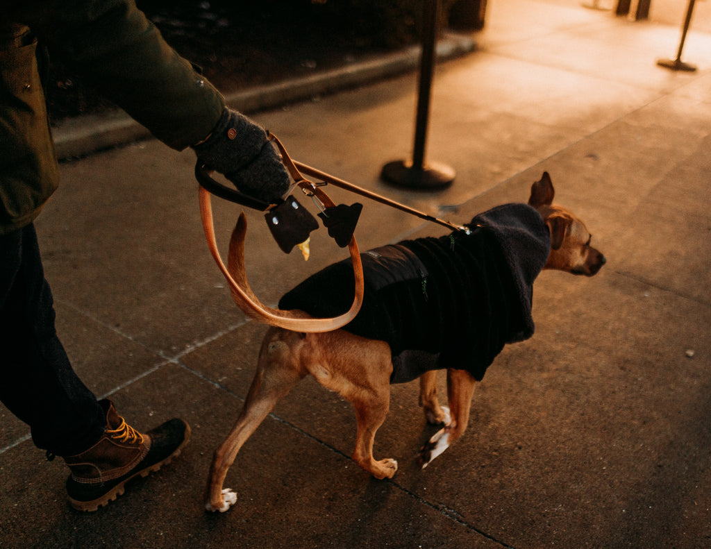 The Junkyard Dog Hands-free Waste Bag Holder