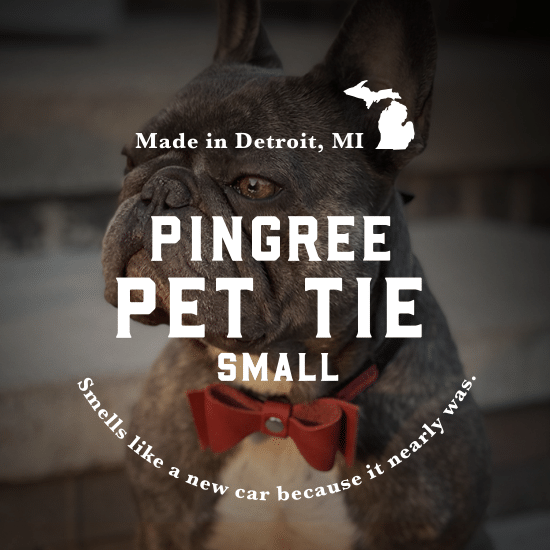 Pingree Pet Tie