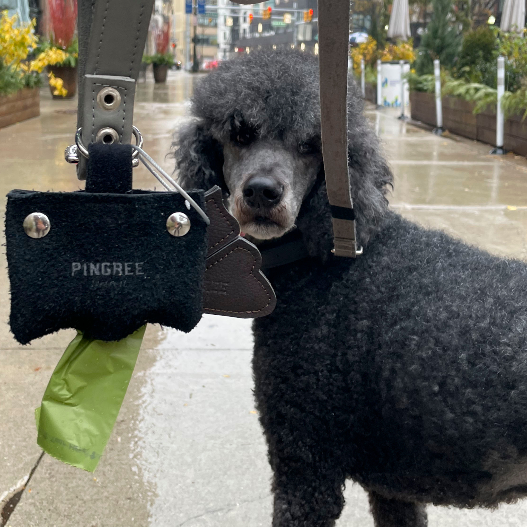 Junkyard Dog Waste Bag Dispenser