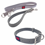 Dog Leash + Color Combo